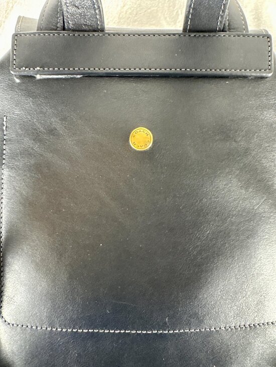 Coach Crosby Backpack in Black Natural Grain Leather main image 13